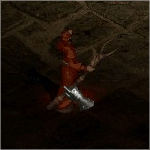 暗黑破坏神2.英雄地域任务攻略