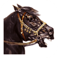 骑马与砍杀战团手机版下载正版