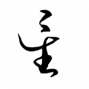 星逐海最新版国际服官方版下载入口